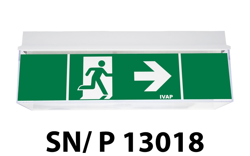 SNP_13018_Beschriftet.jpg