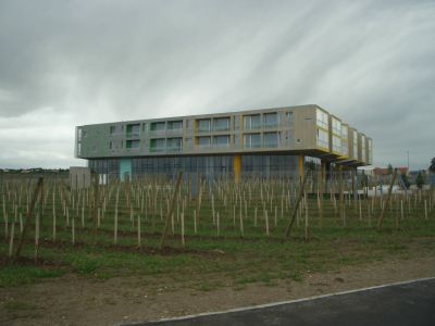 Loisium Langenlois 2